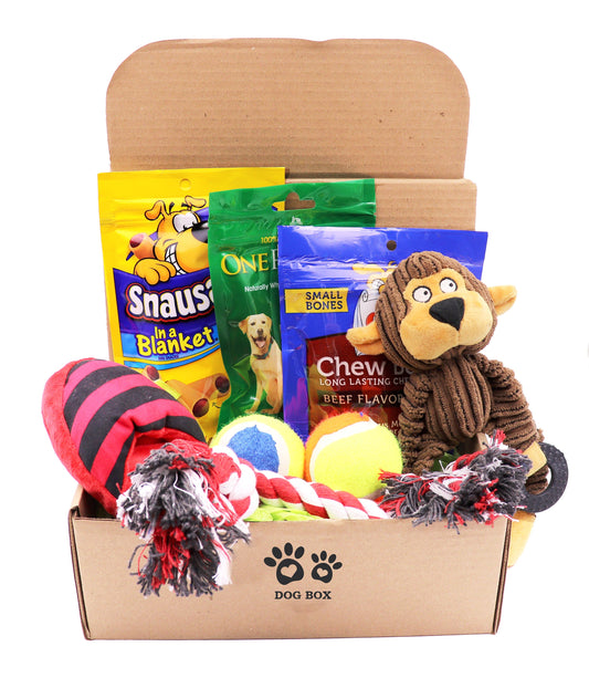 Dog Gift, Joice Best Dog Gift Box Set with Pet Toys Treats, Dog Gift Box, Gift for Dog